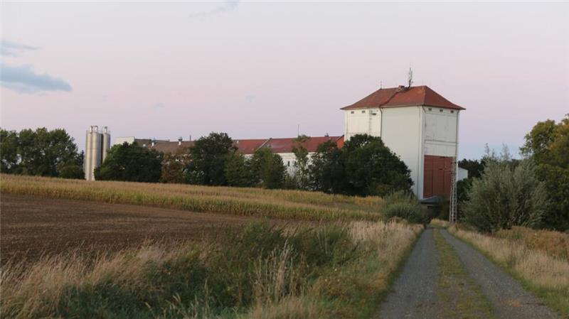 Belgisches Unternehmen Dossche Mills übernimmt Mühle Rüningen Blick auf die Mühle bei Ringelheim, von der L 496 aus.