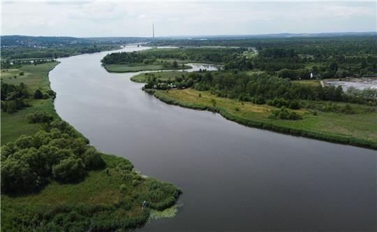 Blick auf die Oder bei Stettin: Behörden zufolge ist das Wasser im Unterlauf des Flusses frei von gefährlichen Goldalgen, die vergangenen Sommer zum großen Fischsterben geführt haben.