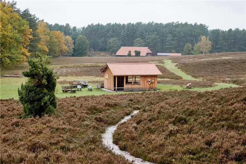 Einigung über Schutzhütte in Lüneburger Heide möglich Blick auf eine Schutzhütte in in Kronsbergheide in der Lüneburger Heide.