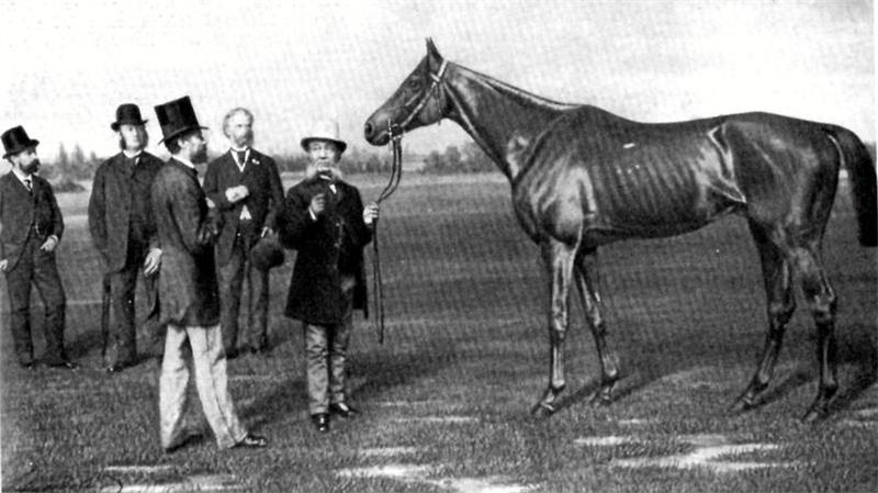 Ein Trainer präsentiert das Pferd Hymenaeus.