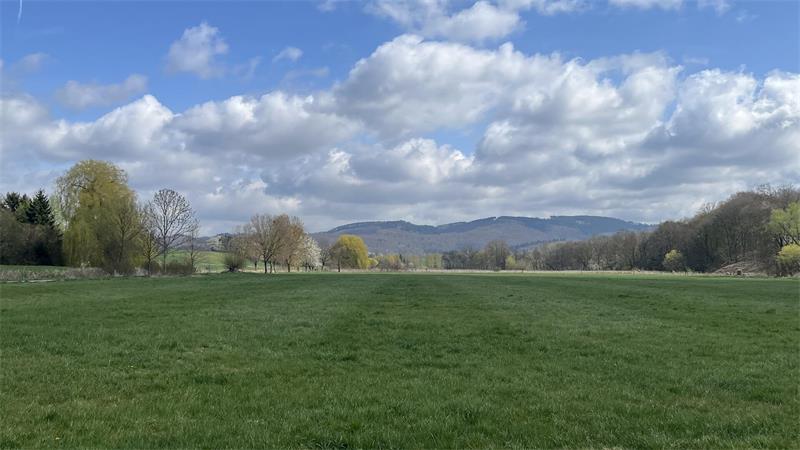 Eine große Wiese mit Bergen im Hintergrund.