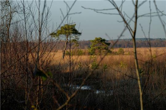 Blick in das Teufelsmoor nordöstlich von Bremen.
