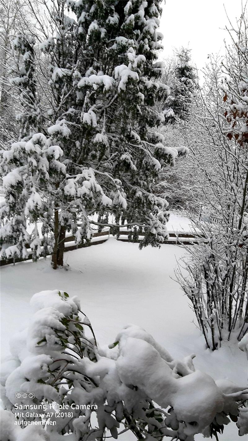 20. Dezember: Weihnachtsreise nach Schweden Blick in den schwedischen Winterwald. Foto: Margitta Klein