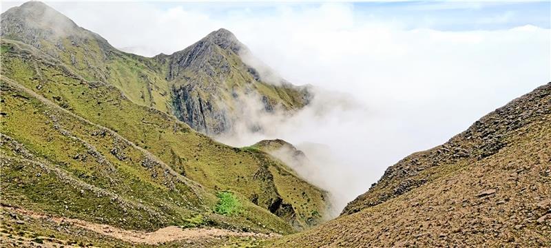 Grüne Lunge als Wirtschaftsfaktor: Goslarer begleitet Bolivien auf dem Weg in die Zukunft Blick in die überwältigende Gebirgslandschaft Boliviens: Aufgrund der hohen Luftfeuchtigkeit sind die Berge bei Tarija häufig von Wolken und Nebel verdeckt. Fotos: Privat