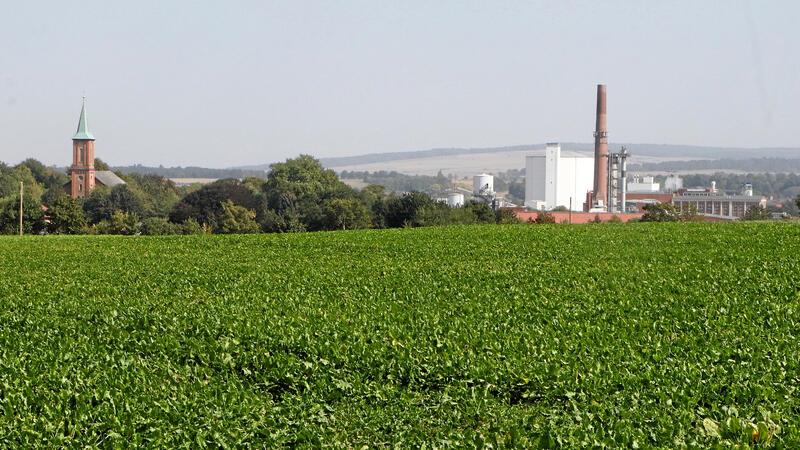 Kurz nach dem Kampagnestart: Schladener Zuckerfabrik steht still Blick über einen Rübenschlag auf die Schladener Zuckerfabrik: Eigentlich stünde sie jetzt unter Volldampf, doch ein Störfall sorgt für einen Produktionsstopp.