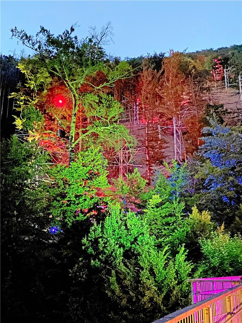 Blick vom Baumwipfelpfad hinauf in den Hang der Baumschwebebahn – alles leuchtet im bunten Licht. Ehe sich dieser Anblick bietet, ist aber Geduld gefragt – beispielsweise beim Anstehen am Starturm. Fotos: Schlegel