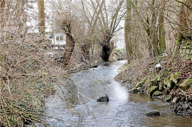 Blick von der Brücke in Neuwallmoden flussaufwärts: Entlang der Ufer müssen für die Aufweitung des Neile Bäume gefällt werden. Das geschieht nicht mehr in diesem Winter. Foto: Gereke