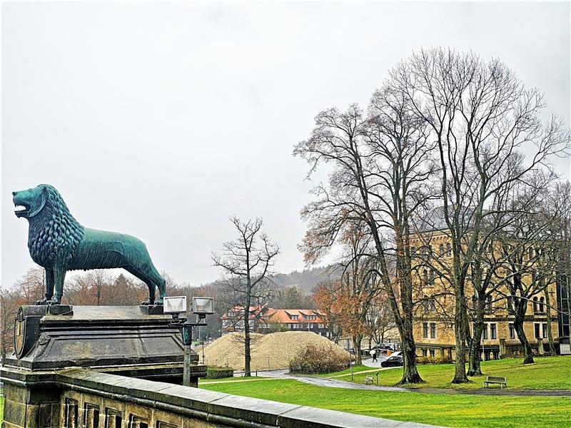 Goslarer Pfalzquartier: Die Sorge um das Sachlichkeitsgebot Blick von der Pfalz auf Quartier: Auf dem Gelände liegen noch die Erdhaufen von den Abrissarbeiten. Foto: Sowa