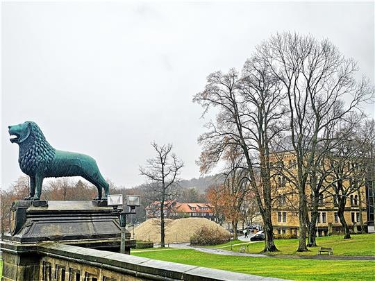 Blick von der Pfalz auf Quartier: Auf dem Gelände liegen noch die Erdhaufen von den Abrissarbeiten. Foto: Sowa