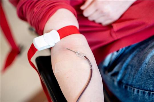 Blut fließt während einer Blutspende des Deutschen Roten Kreuzes (DRK) vom Arm einer Spenderin durch eine Nadel in einen Beutel.