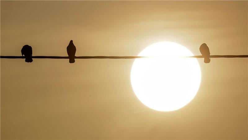 Bodennahe Winde haben den Staub in Afrika aufgewirbelt, dann wird der nach Europa transportiert.
