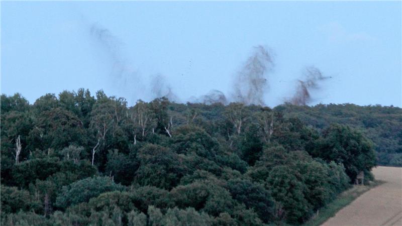 Das Nordharz-Inferno: Vor 80 Jahren erfolgt die Sprengung der Muna Bomben, deren Entschärfung nicht möglich war, mussten vor Ort im Schimmerwald gesprengt werden.