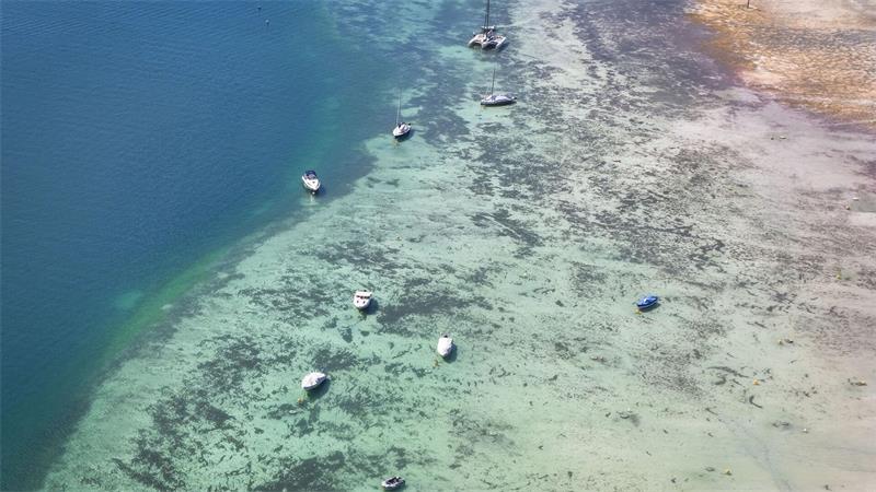 Boote liegen im flachen Wasser am Ufer des Bodensees.