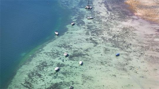 Boote liegen im flachen Wasser am Ufer des Bodensees.
