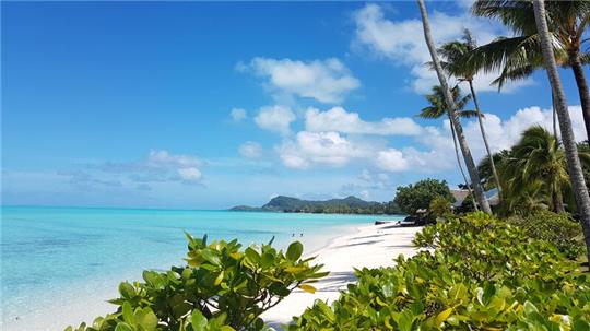 Bora Bora ist eine Insel von Tahiti und gilt als eine der schönsten der Welt.