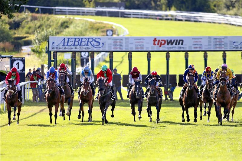 Traumstart für die 142. Bad Harzburger Rennwoche Boxen auf in Bad Harzburg: Das erste Wochenende bietet rassigen Galoppsport und lockt die Massen an den Weißen Stein. Auch der Umsatz am Totalisator erreicht unerwartete Höhen. Fotos (3): Uwe Epping