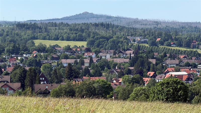 Das Foto zeigt Häuser einer Stadt.