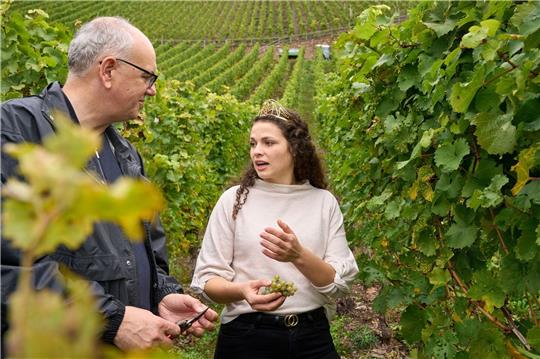 Bremens Bürgermeister Andreas Bovenschulte  mit Weinkönigin Katrin Lang bei der Weinlese.