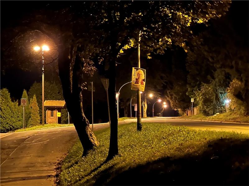 Brennen die Straßenlaternen in Braunlage wie im Bild an der Tanner Straße weiterhin oder werden sie bald zwischen 23 und 5 Uhr abgeschaltet, wie ein Bürger in der Ratssitzung forderte und die Verwaltung nun beraten will.  Foto: Eggers