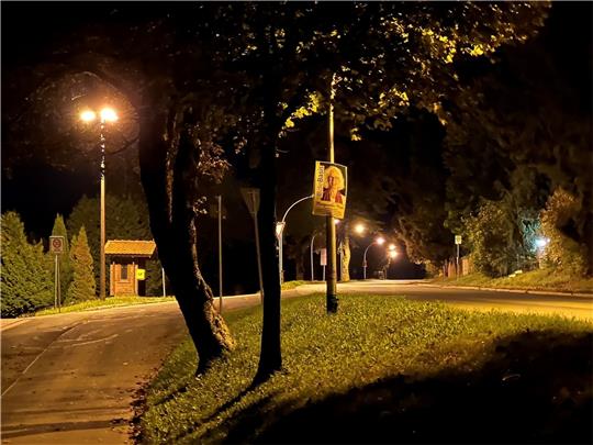 Brennen die Straßenlaternen in Braunlage wie im Bild an der Tanner Straße weiterhin oder werden sie bald zwischen 23 und 5 Uhr abgeschaltet, wie ein Bürger in der Ratssitzung forderte und die Verwaltung nun beraten will.  Foto: Eggers