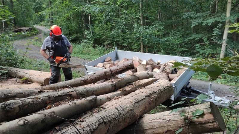 Brennholz machen ist echte Knochenarbeit. Da freut sich der Geplagte gerne über preiswerte Angebote aus dem Internet.