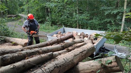 Brennholz machen ist echte Knochenarbeit. Da freut sich der Geplagte gerne über preiswerte Angebote aus dem Internet.