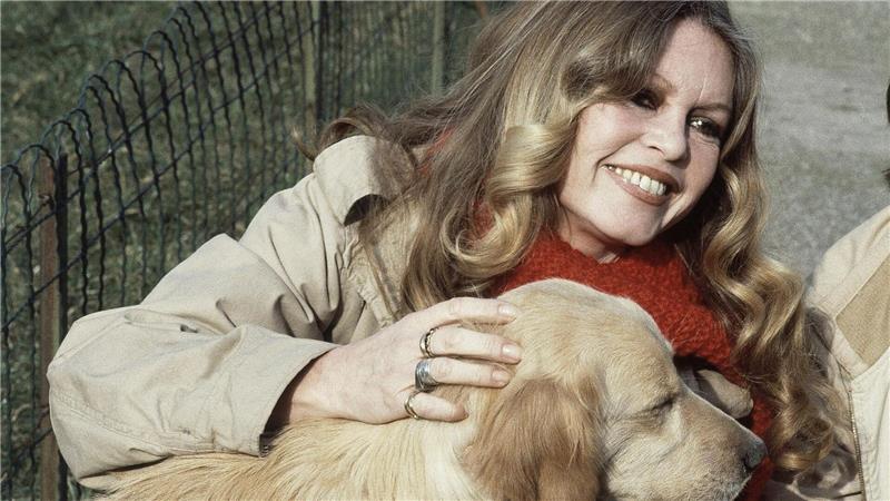 Brigitte Bardot hatte davon geträumt, kranke Tiere auf einem Bauernhof zu pflegen. Sie setzte sich bis zuletzt für den Tierschutz ein. 