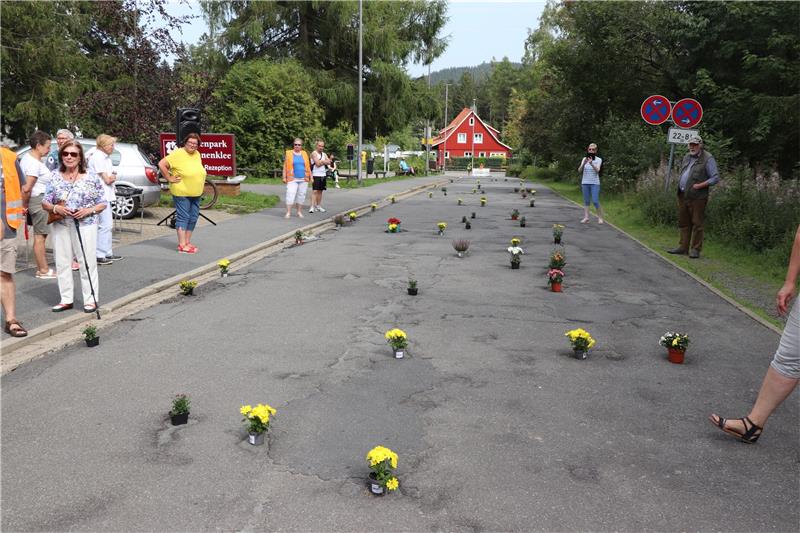 Goslarer Betriebshof kämpft gegen die Schlaglöcher Bürger am Hahnenkleer Berg protestieren mit Blumentöpfen gegen den Zustand der Straße. Archivfoto: Kammer