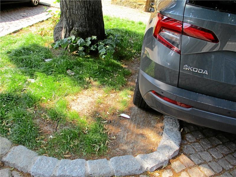 Neue Baumscheiben: Bürgerliste kritisiert Fehler bei Sanierung Bürgerlisten-Ratsherr Henning Wehrmann kritisiert, dass die Stadt die sanierten Baumscheiben nicht ausreichend vor dem Parkverkehr geschützt habe. Foto: Privat