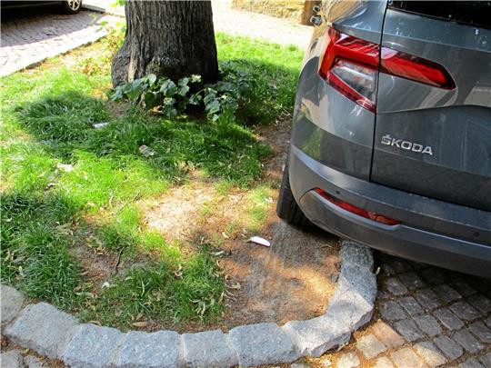 Bürgerlisten-Ratsherr Henning Wehrmann kritisiert, dass die Stadt die sanierten Baumscheiben nicht ausreichend vor dem Parkverkehr geschützt habe.  Foto: Privat
