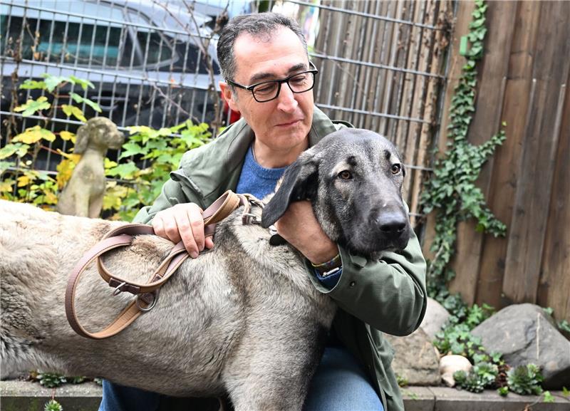 Tierheime in Not Bundeslandwirtschaftsminister Cem Özdemir streichelt bei seinem Besuch im Tierheim in Stuttgart-Botnang eine Kangal-Hirtenhündin.