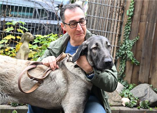 Bundeslandwirtschaftsminister Cem Özdemir streichelt bei seinem Besuch im Tierheim in Stuttgart-Botnang eine Kangal-Hirtenhündin.