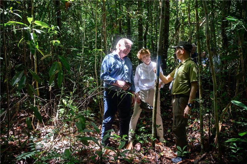 Steinmeier lobt Malaysia für Klimaschutz Bundespräsident Frank-Walter Steinmeier (l-r) und seine Frau Elke Büdenbender werden im Kuching Wetland Nationalpark durch einen Urwald geführt.