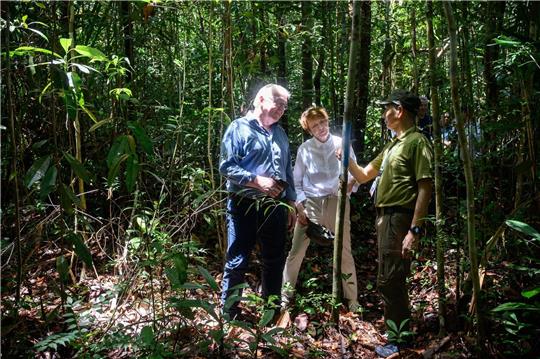 Bundespräsident Frank-Walter Steinmeier (l-r) und seine Frau Elke Büdenbender werden im Kuching Wetland Nationalpark durch einen Urwald geführt.