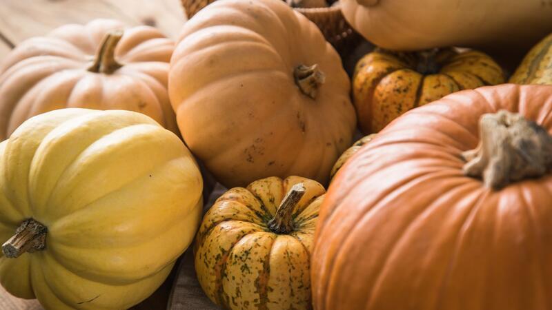 Gesunde Riesenfrucht: Die 10 wichtigsten Dinge über Kürbis Bunte Vielfalt: Viele der über hundert Kürbissorten sind essbar.
