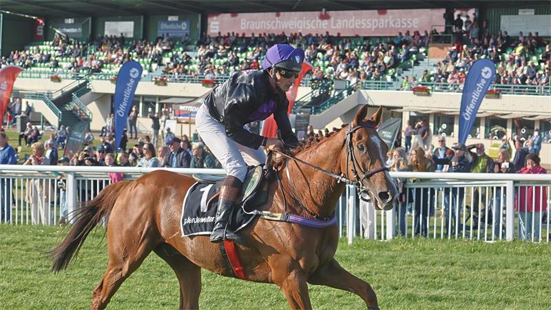 Das Bild zeigt ein Rennpferd mit Jockey vor einer großen Zuschauermenge.