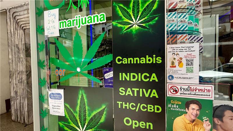 Thailand will Cannabis-Regeln wieder verschärfen Cannabis-Shops schossen nach der Legalisierung 2022 wie Pilze aus dem Boden.