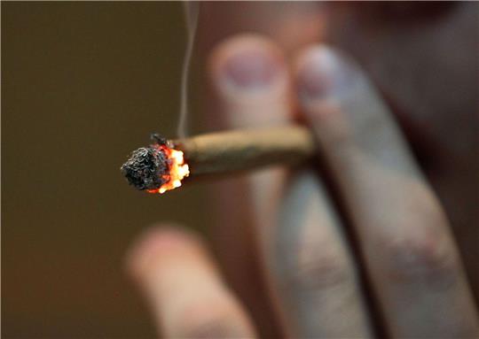 Cannabis und die Hirnchemie Jugendlicher - wie groß sind die Risiken?