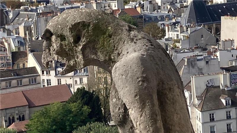 Wiedereröffnung der Notre-Dame-Türme: Monumentales Comeback Chimären, die steinernen Mischwesen wachen über Notre-Dame.