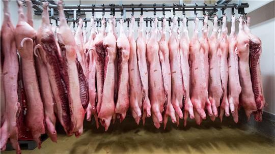 China erschwert mit Zöllen den Import von Schweinefleisch aus der EU. (Symbolbild)