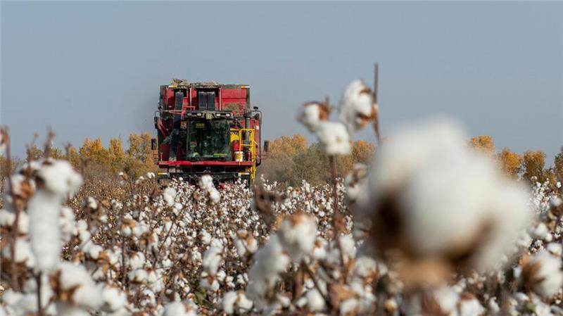 China wirft US-Modekonzern Diskriminierung vor und ermittelt China wirft PVH vor, Baumwolle und andere Produkte aus Xinjiang gemieden zu haben. (Symbolbild)
