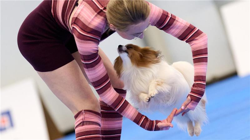 Choreografie auf Pfoten: Dog-Dancing-Stars begeistern mit Showeinlagen in Dortmund