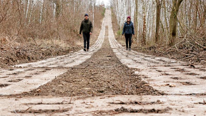 Zwei Personen spazieren auf einem alten DDR-Kolonnenweg.