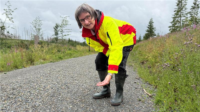 Schotter auf Waldweg: Fährt es sich jetzt besser? Christiane Lorenz-Laubner steht auf dem Bereich der Trasse der ehemaligen Südharzeisenbahn, der mit Schotter saniert worden ist. Sie ist mit den Arbeiten zufrieden, weil der Weg wie angekündigt plattgewalzt worden sei.