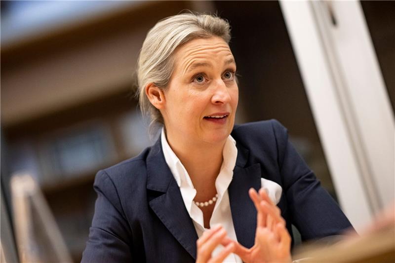 AfD: Parteichefin Weidel sieht Chance aufs Mitregieren Co-Parteichefin Alice Weidel will mitregieren.