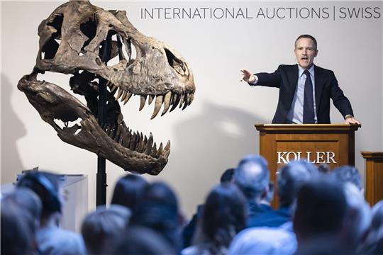 Cyril Koller, Geschäftsleiter des Auktionshauses Koller, gestikuliert neben dem Kopf eines T-Rex-Skeletts während einer Auktion des Auktionshauses Koller.