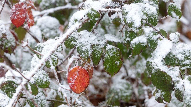 DWD: In den Alpen und im südlichen Vorland sind leichte Schneefälle möglich. 
