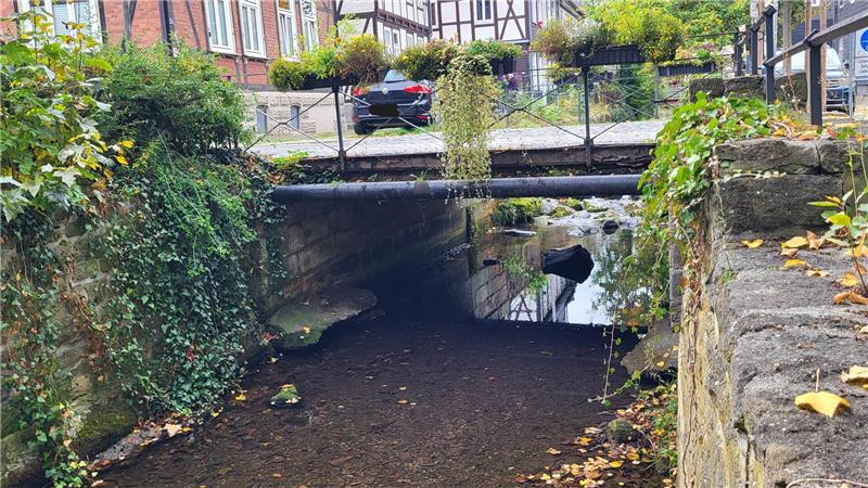 Da der Durchfluss bei Hochwasser zu gering ist, soll aus Gründen des Hochwasserschutzes eine neue Brücke über die Abzucht entstehen.