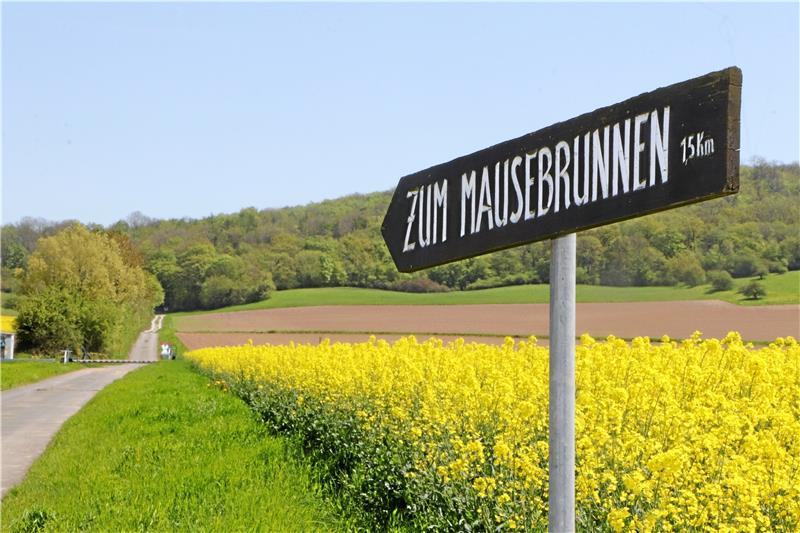 Nordharzer Landjugend hübscht Heißums Mausebrunnen-Areal auf Da geht‘s lang: Der Auftrag für die Landjugend Nordharz lautet, das Areal rund um die Mausebrunnenquelle zu verschönern. Foto: Gereke