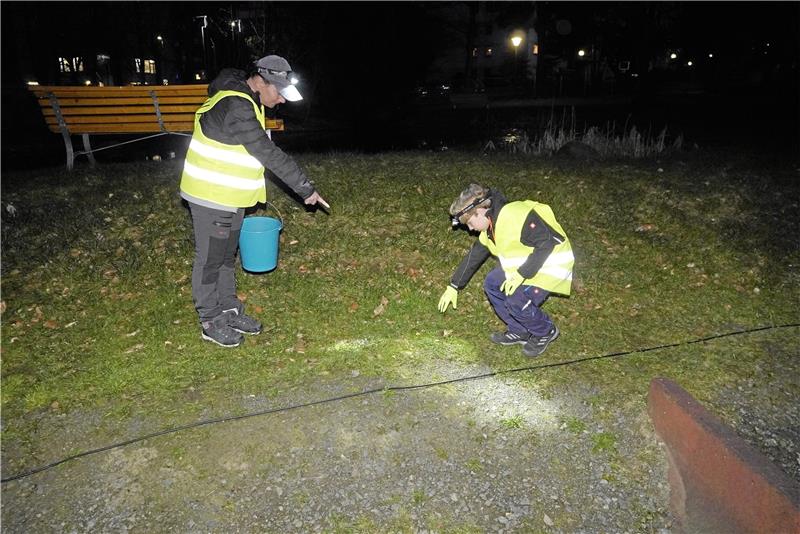 Harzburg erlebt eine Invasion liebestoller Kröten „Da ist noch einer“: Annett Jerke und Mats Bruns suchen im dunklen Gras nach Hinläufern und Rückläufern. Foto: Schlegel